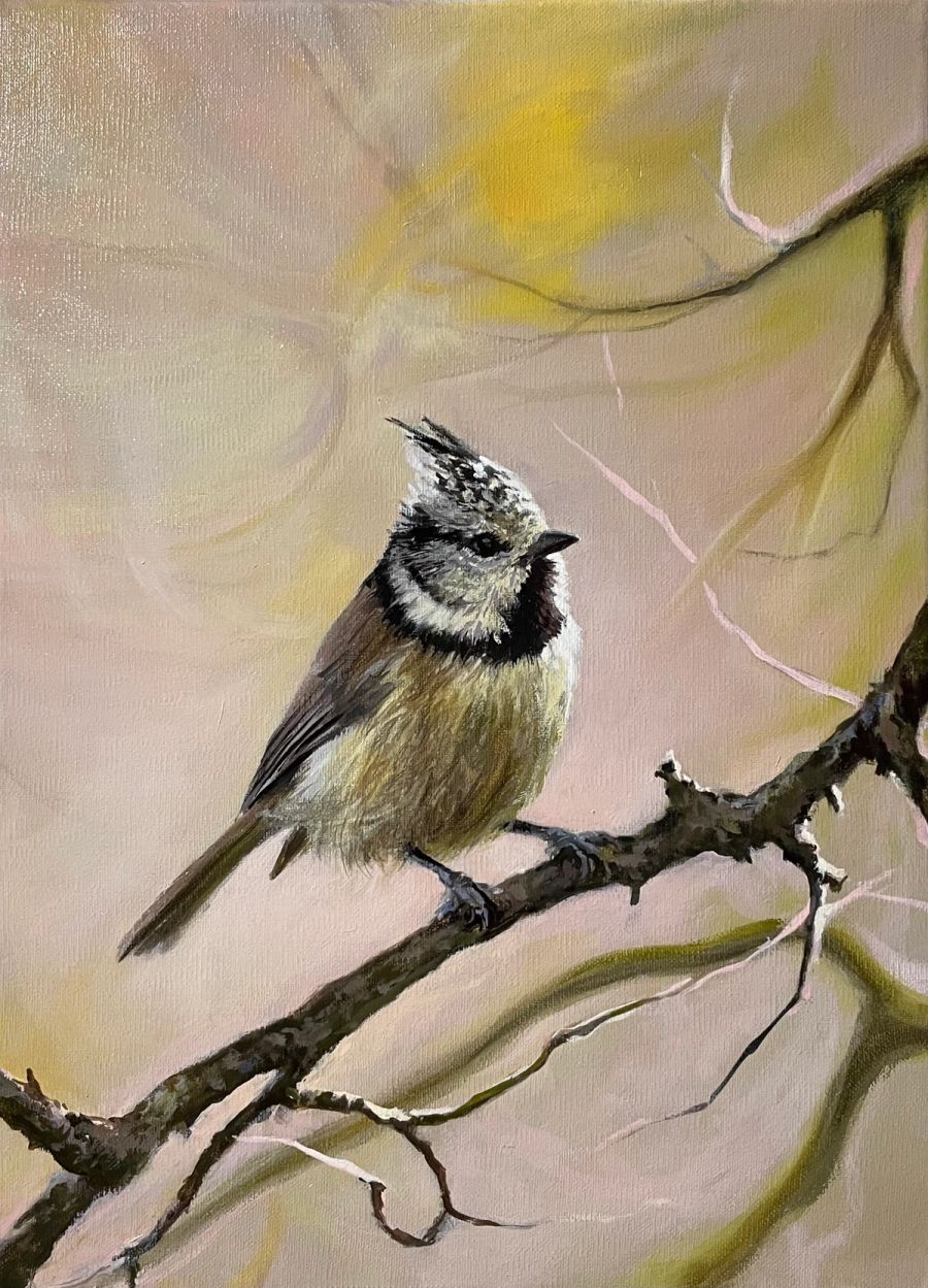 La mésange huppée