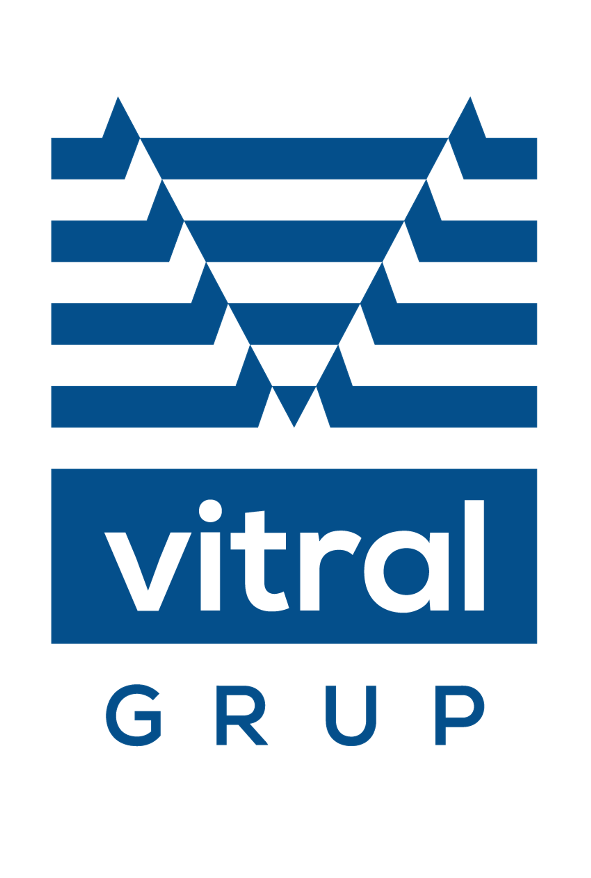 Vitral Grup logo