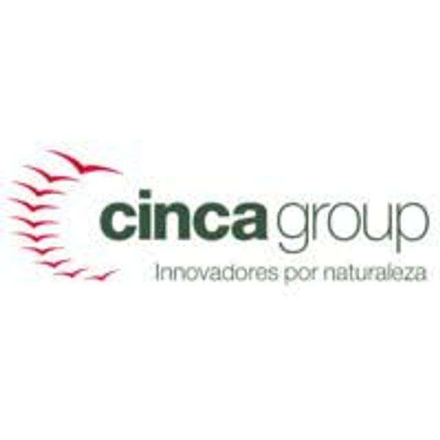 Cinca group Logo