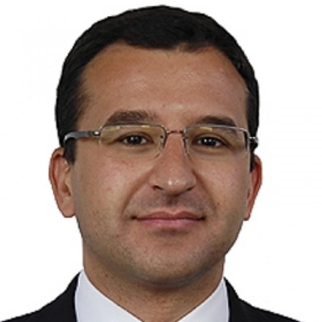 Alfonso del Castillo