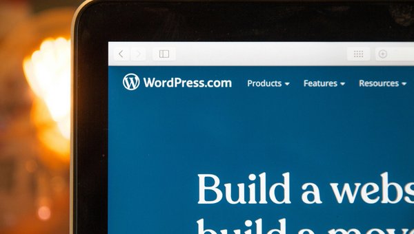 Interface Wordpress
