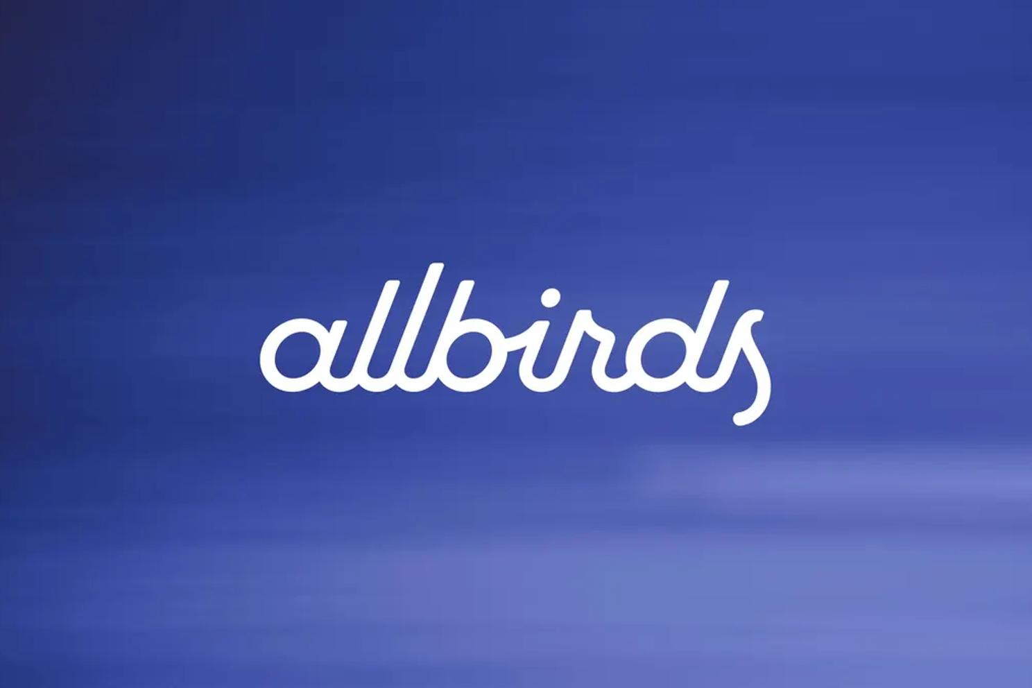 Allbirds Sold Its Shoe Brand for $39M. Now It's Rebranding as a GPU Cloud.