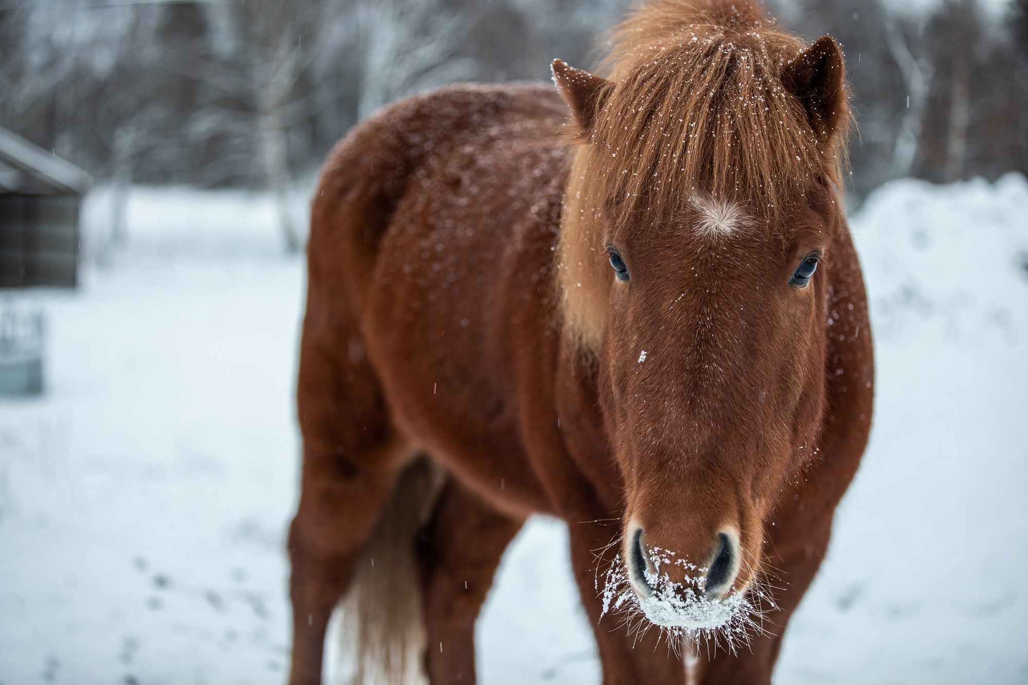Photo Credit: Katie Farr Photography