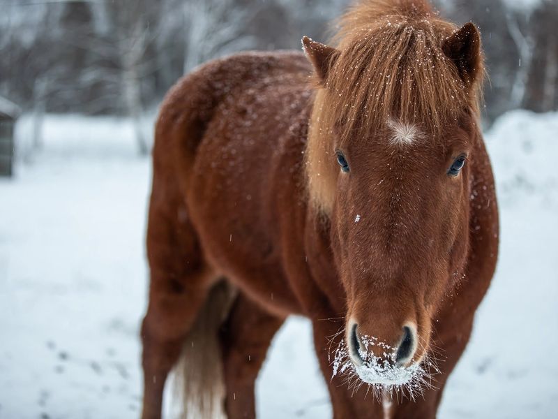 Photo Credit: Katie Farr Photography