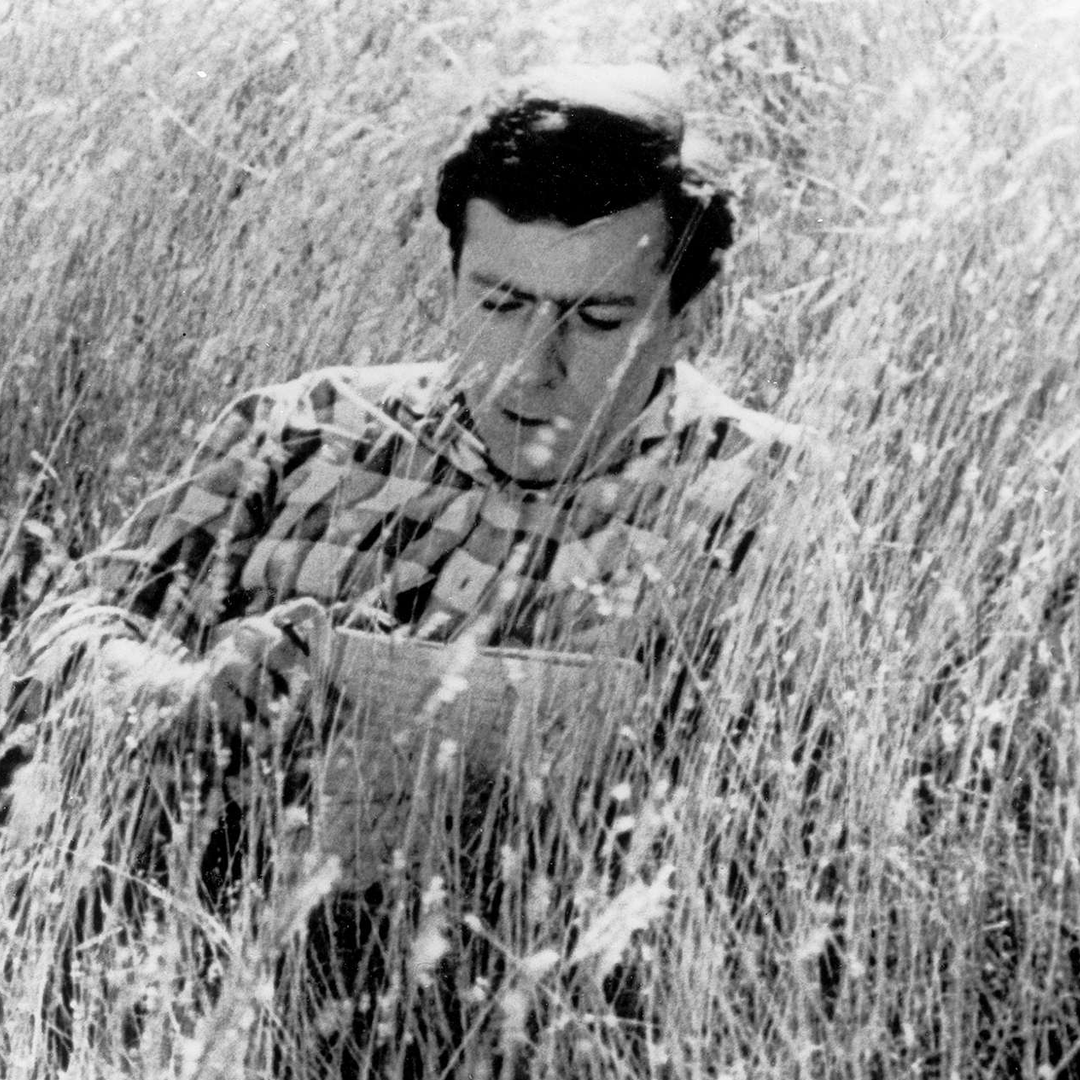 Bilde fra Once Upon a Time There Was a Singing Blackbird