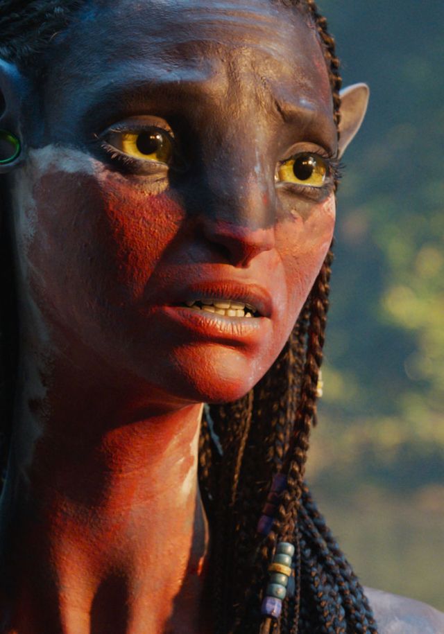 Bilde fra Avatar - Fire & Ash