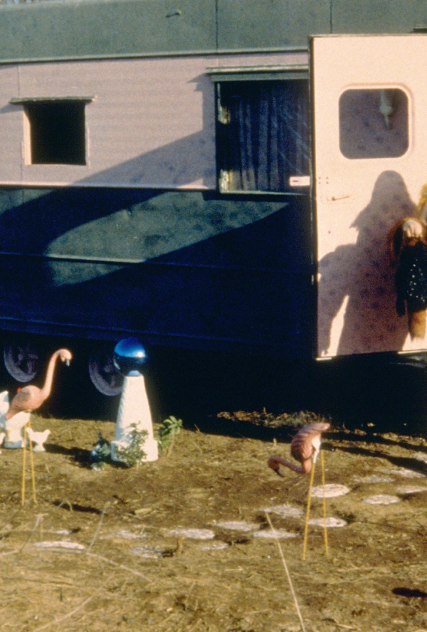 Bilde fra 'Pink Flamingos'