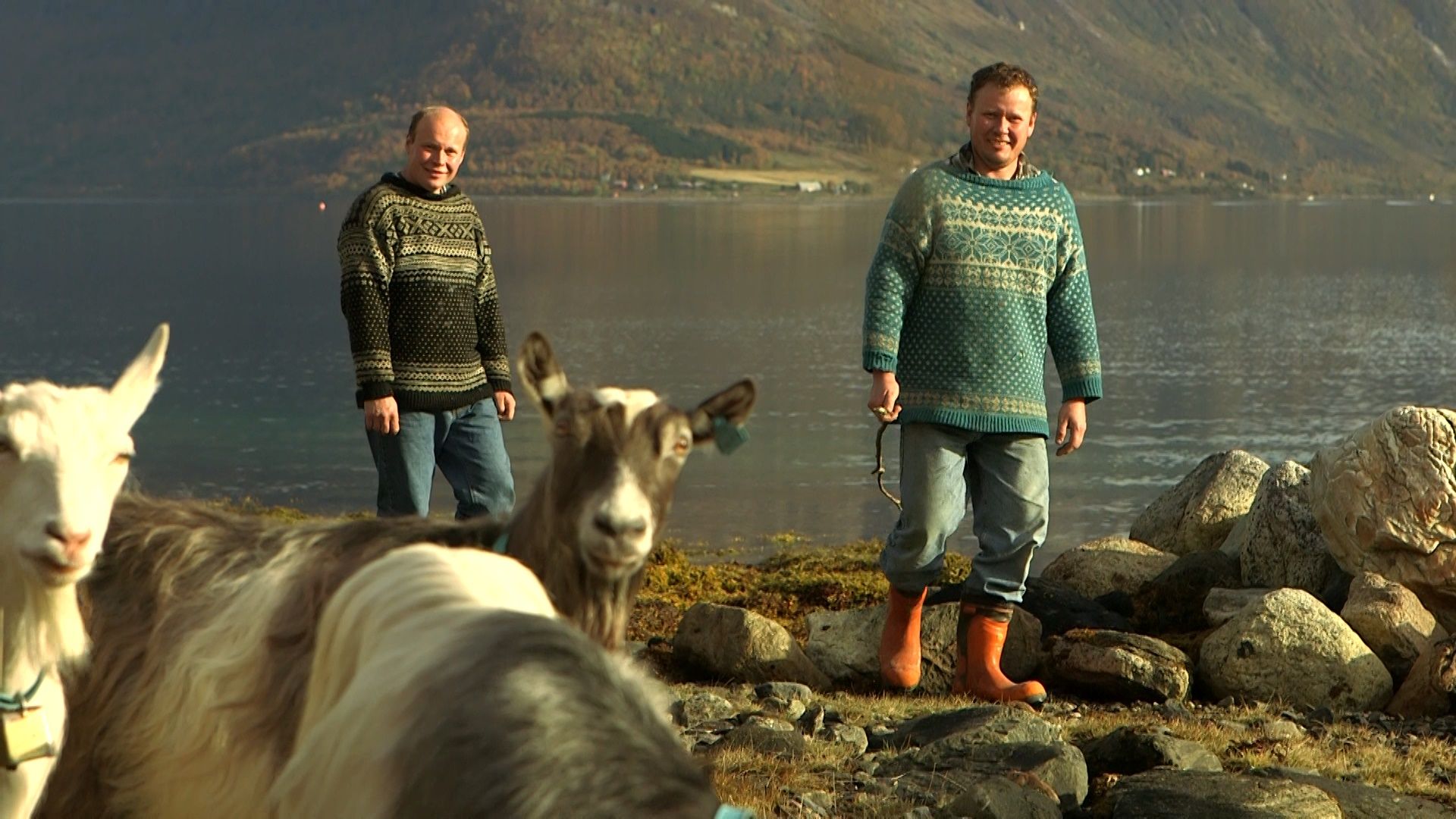 Filmvisning Med Regibesøk, Kaffe Og Kvæfjordkake: "Brødrene Johansen ...