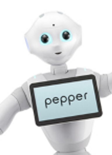Pepper the Robot