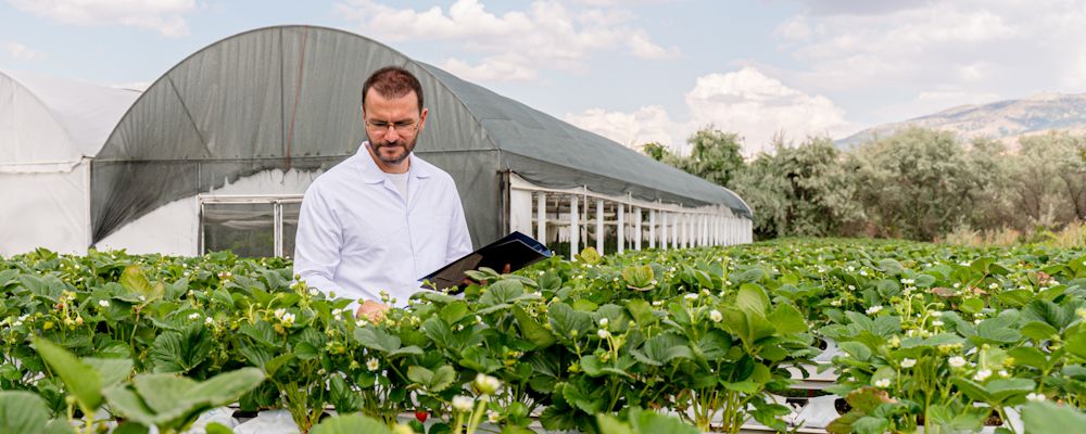 How the Second Trump Administration Can Boost the Agriculture Economy: A Roadmap to Low-Hanging Fruit