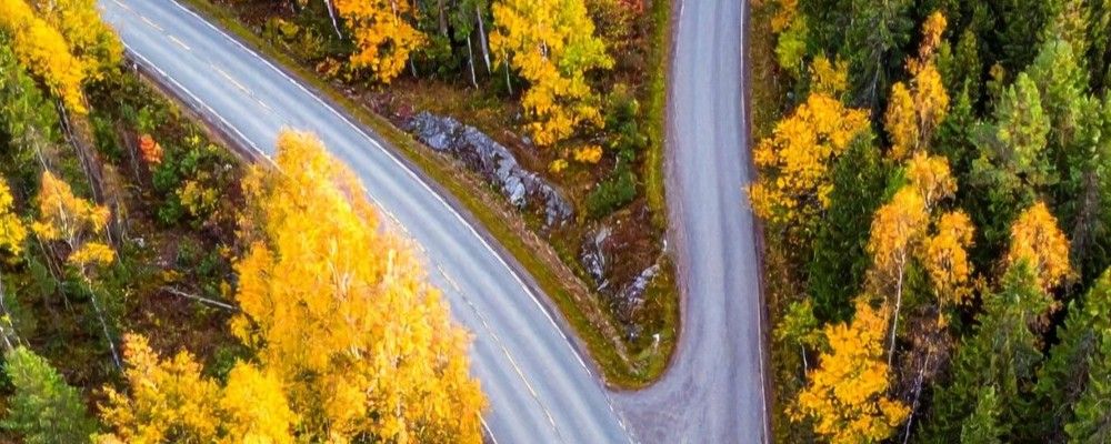 Strategic Indispensability or Strategic Irrelevance