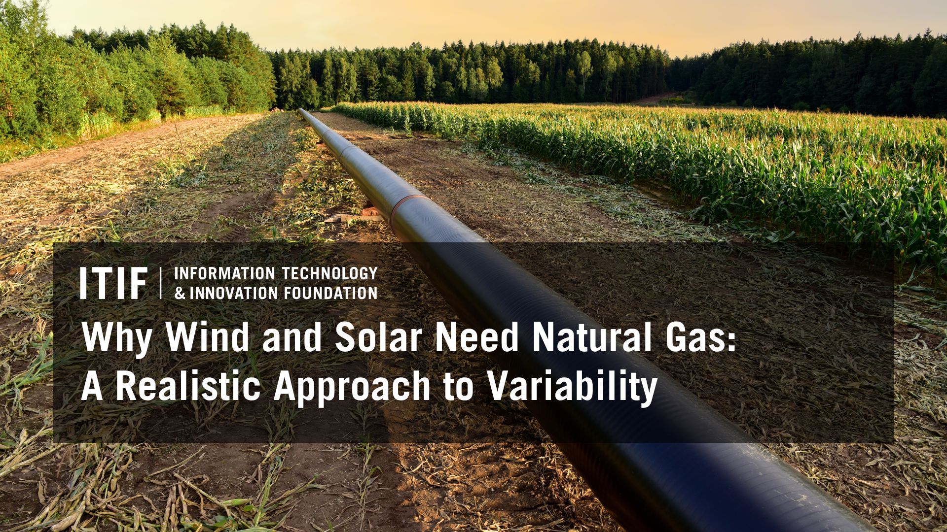 Navigating the Energy Transition: Addressing Challenges of Variable Renewable Energy