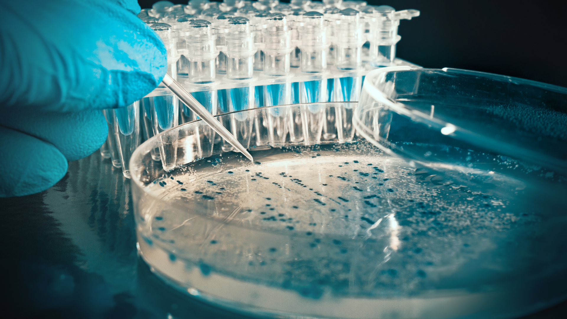 Preserving PDUFA Is Critical for U.S. Biopharmaceutical Innovation