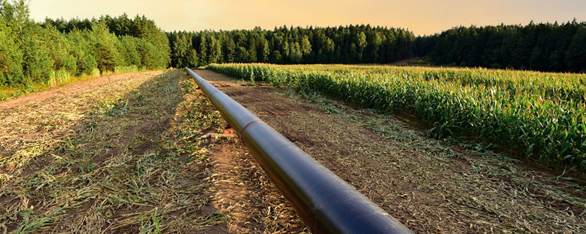 Why Wind and Solar Need Natural Gas: A Realistic Approach to Variability
