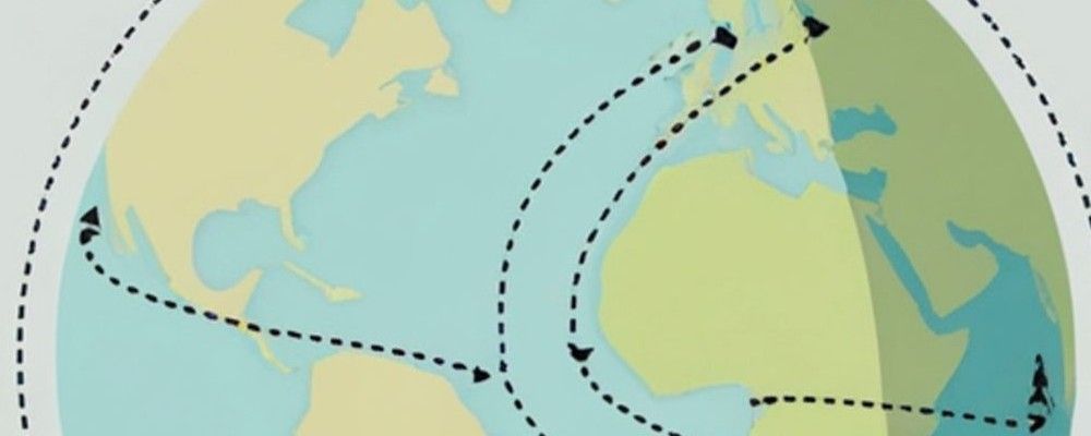 Why Korea Must Learn the New Trump Trade Playbook