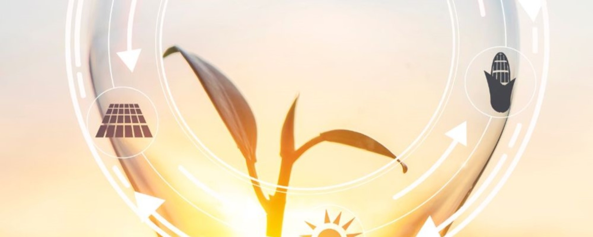 Fuel for Thought: A New Mechanism to Fund Canadian Innovation