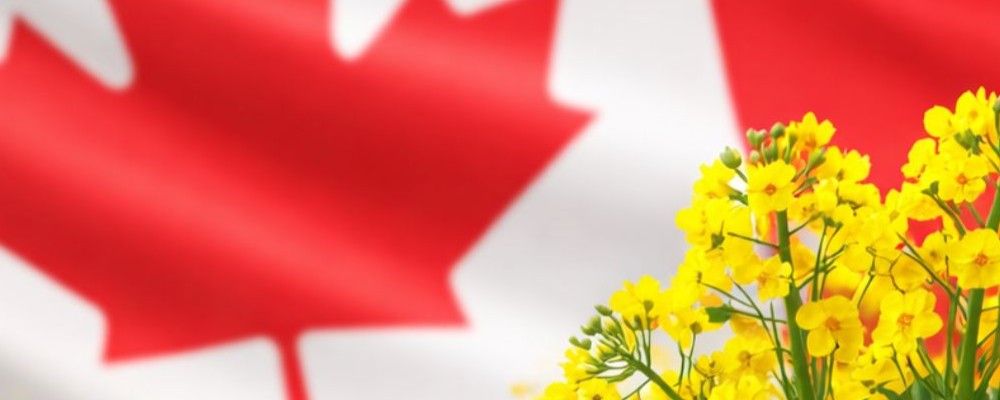 Cars, Canola, and the Country Canada Chooses to Be