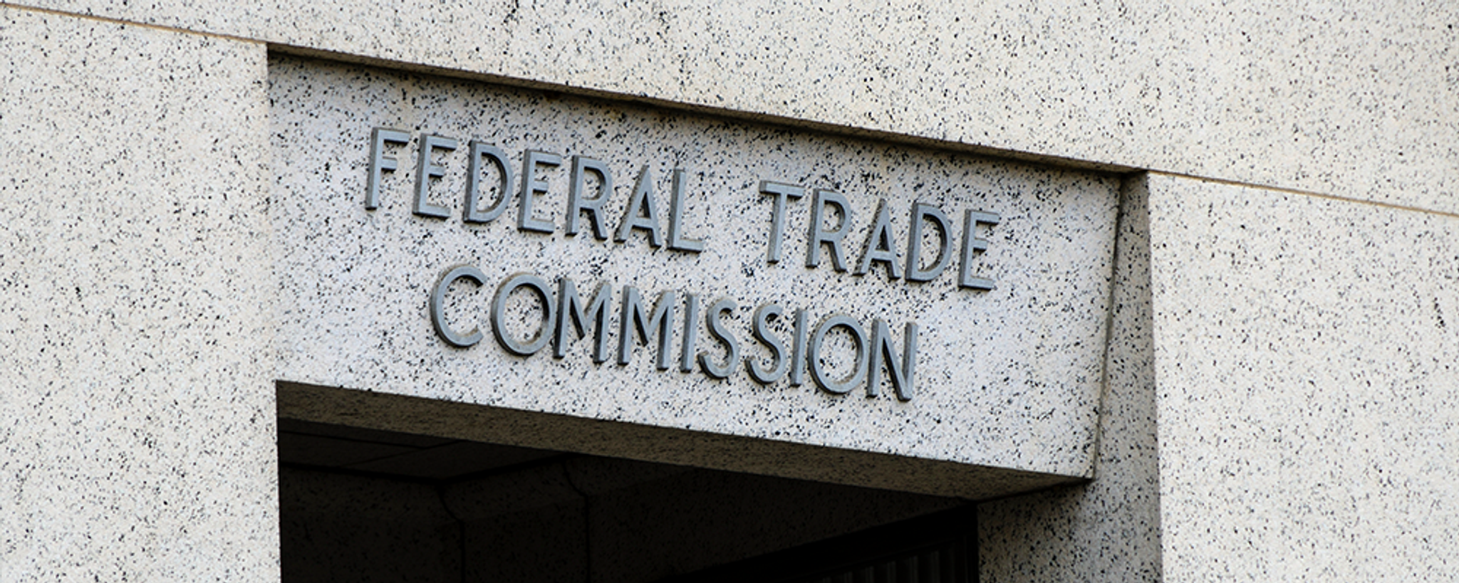 American Precautionary Antitrust: Unrestrained FTC Rulemaking Authority