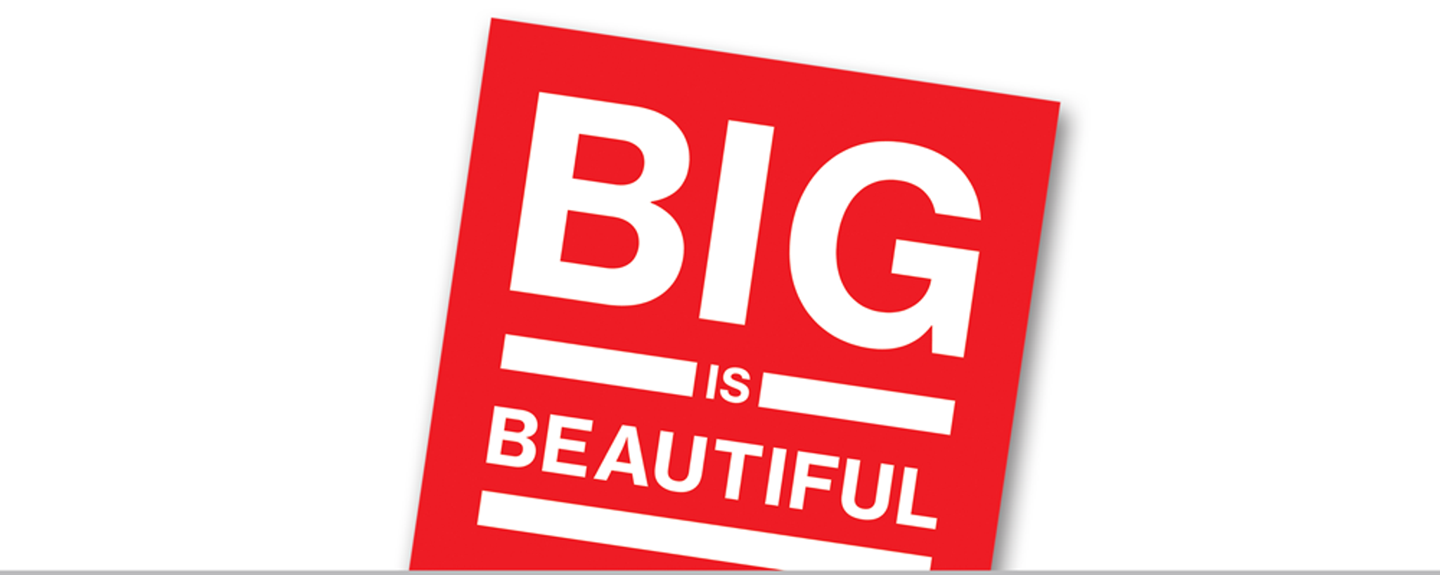 Big Is Beautiful: Debunking the Myth of Small Business
