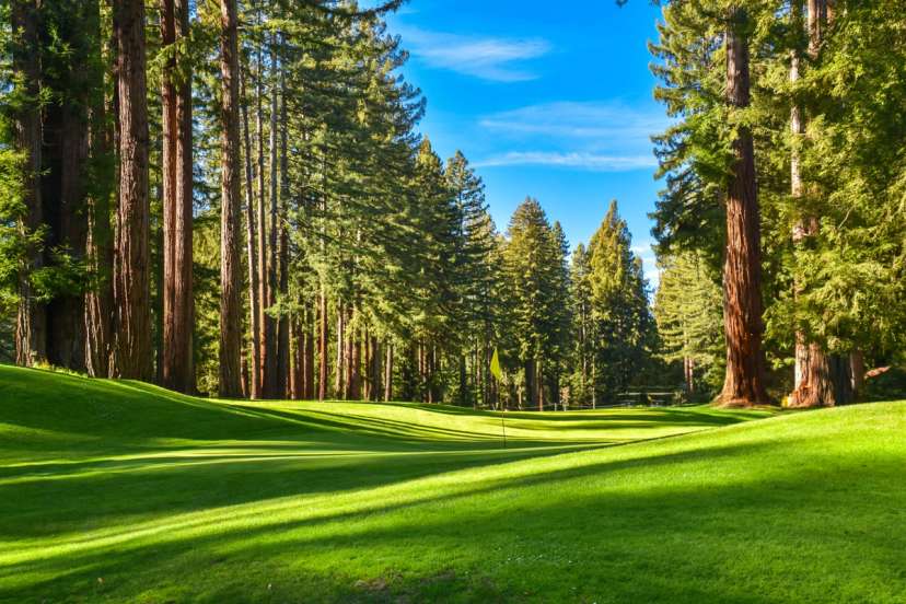Northwood Golf Club - California