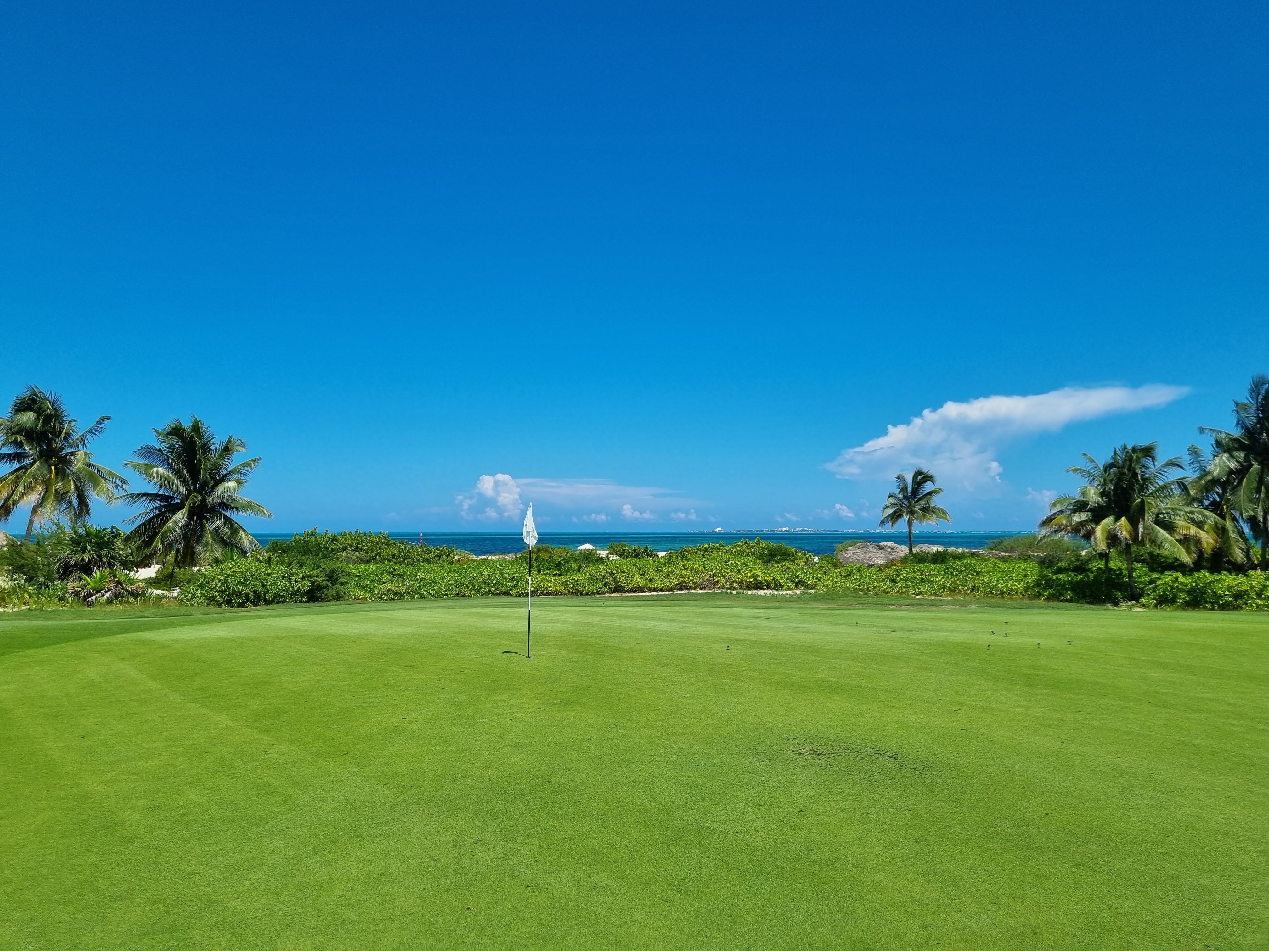 playa mujeres golf club dress code | Mexico gowns for photoshoot Black floral fall maternity Waist:50 female golf dress code