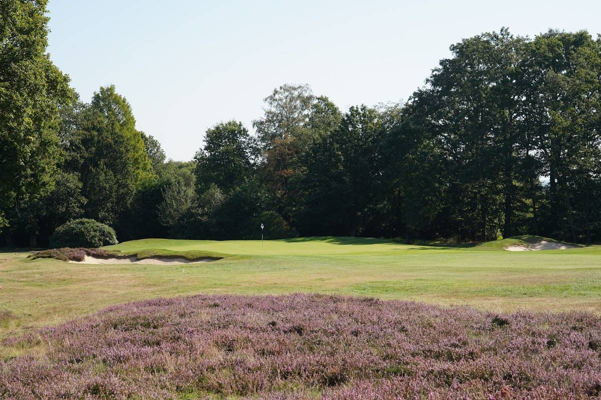 Stoneham Golf Club golf course