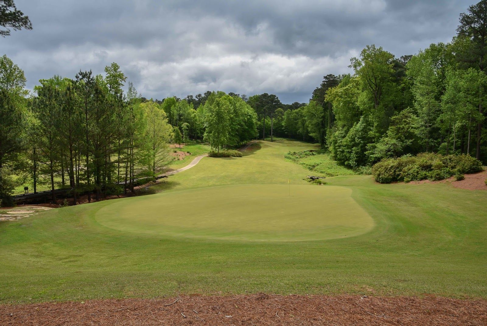 Dancing Rabbit (Azaleas) Review by colin r braithwaite | Top 100