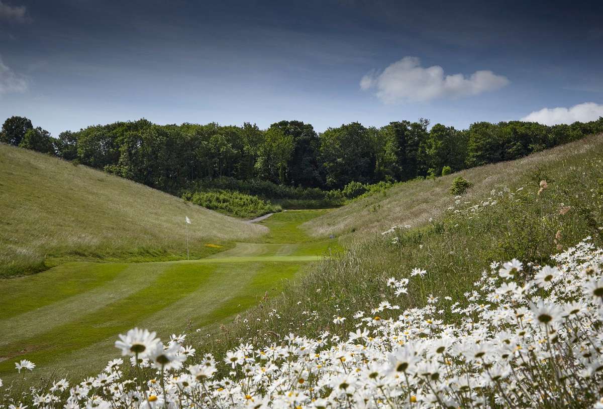 Royston Gc