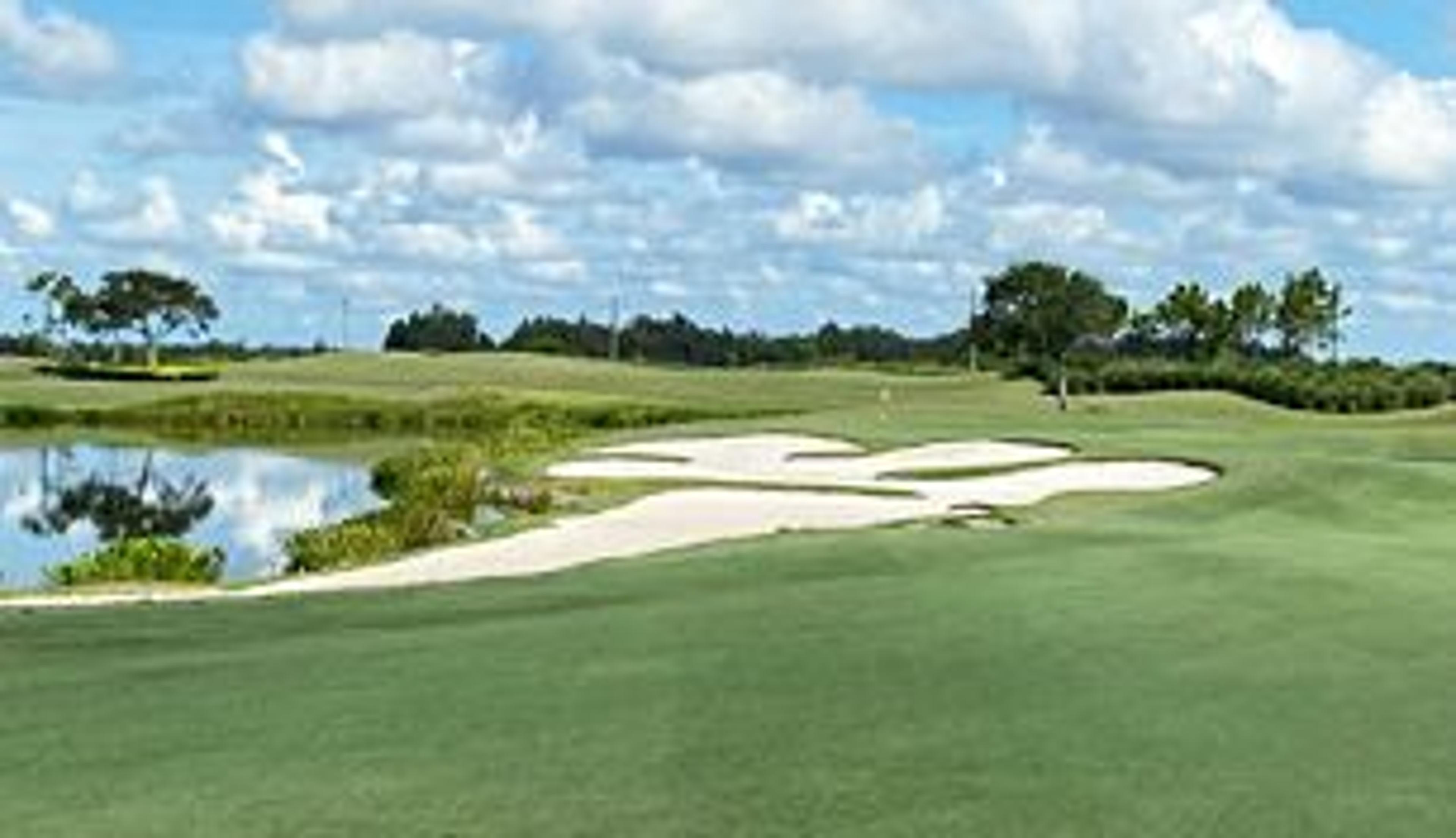 sachin and babi light blue dress Quail Valley Golf Club in Vero Beach, Florida, USA main image 0