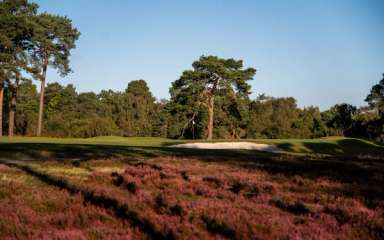 The Addington Golf Club | United Kingdom | Top 100 Golf Courses