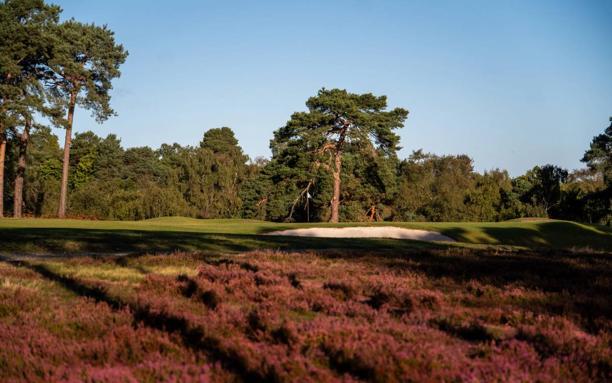 The Addington golf course