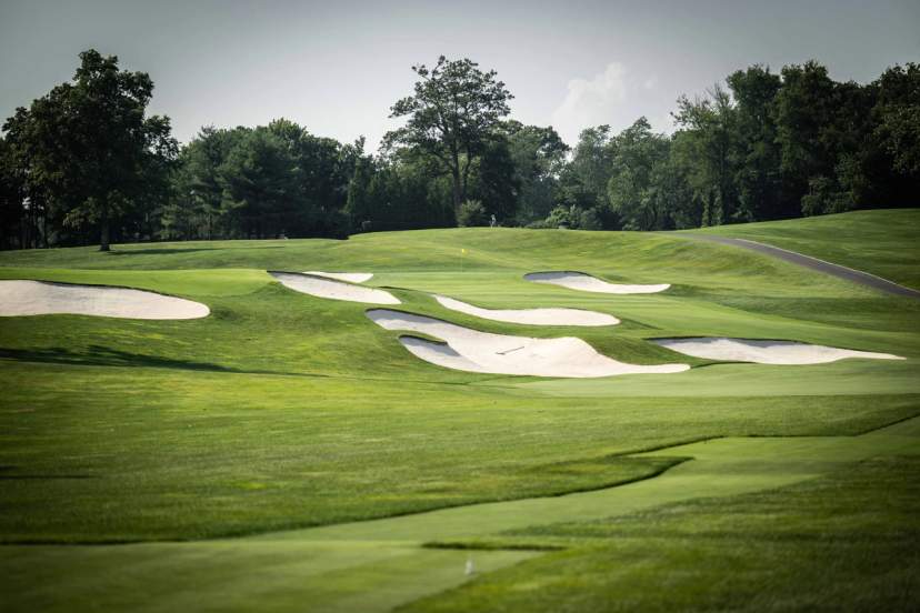 Glen Oaks Club (White & Blue)