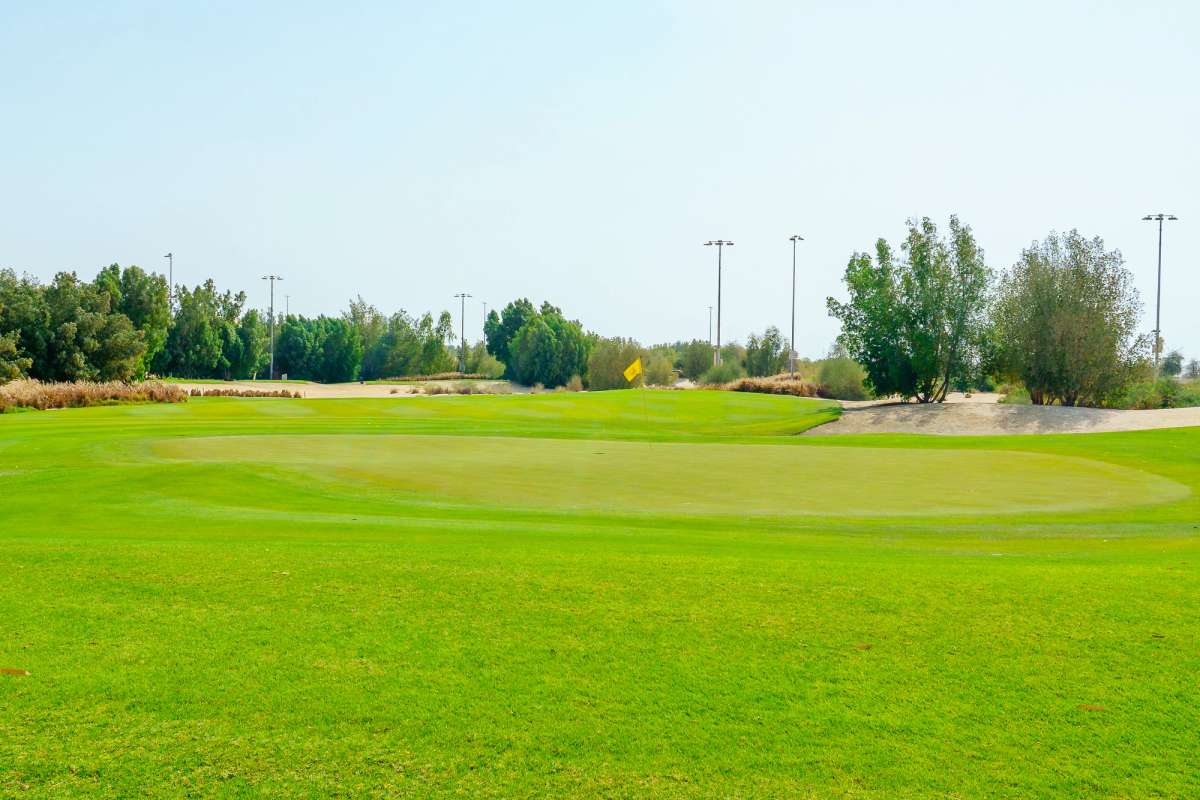 Al Dhannah Golf Club