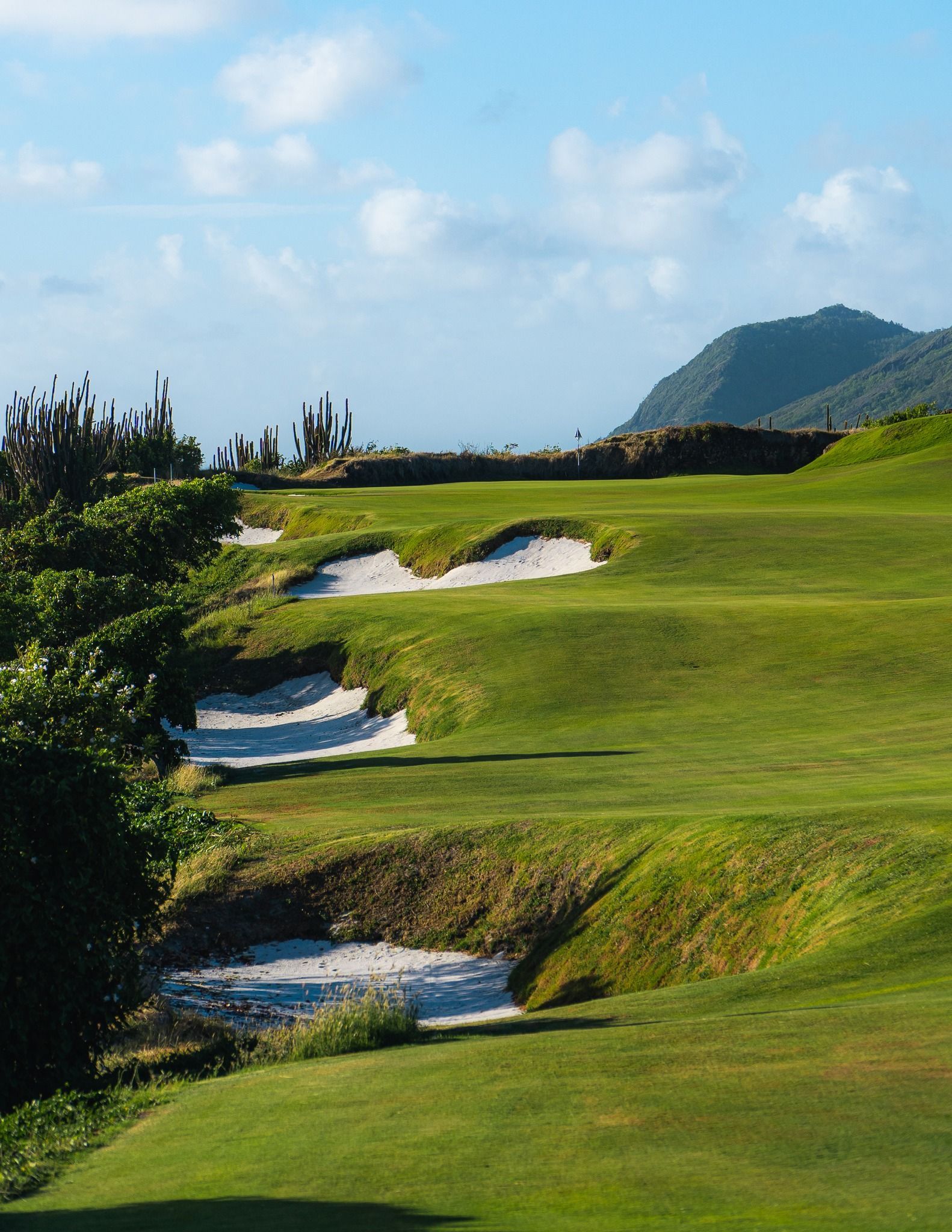 なんのそのFanch Ledan【golf course】 Cabot St Lucia - Point Hardy Golf Club | Saint Lucia | Top 100