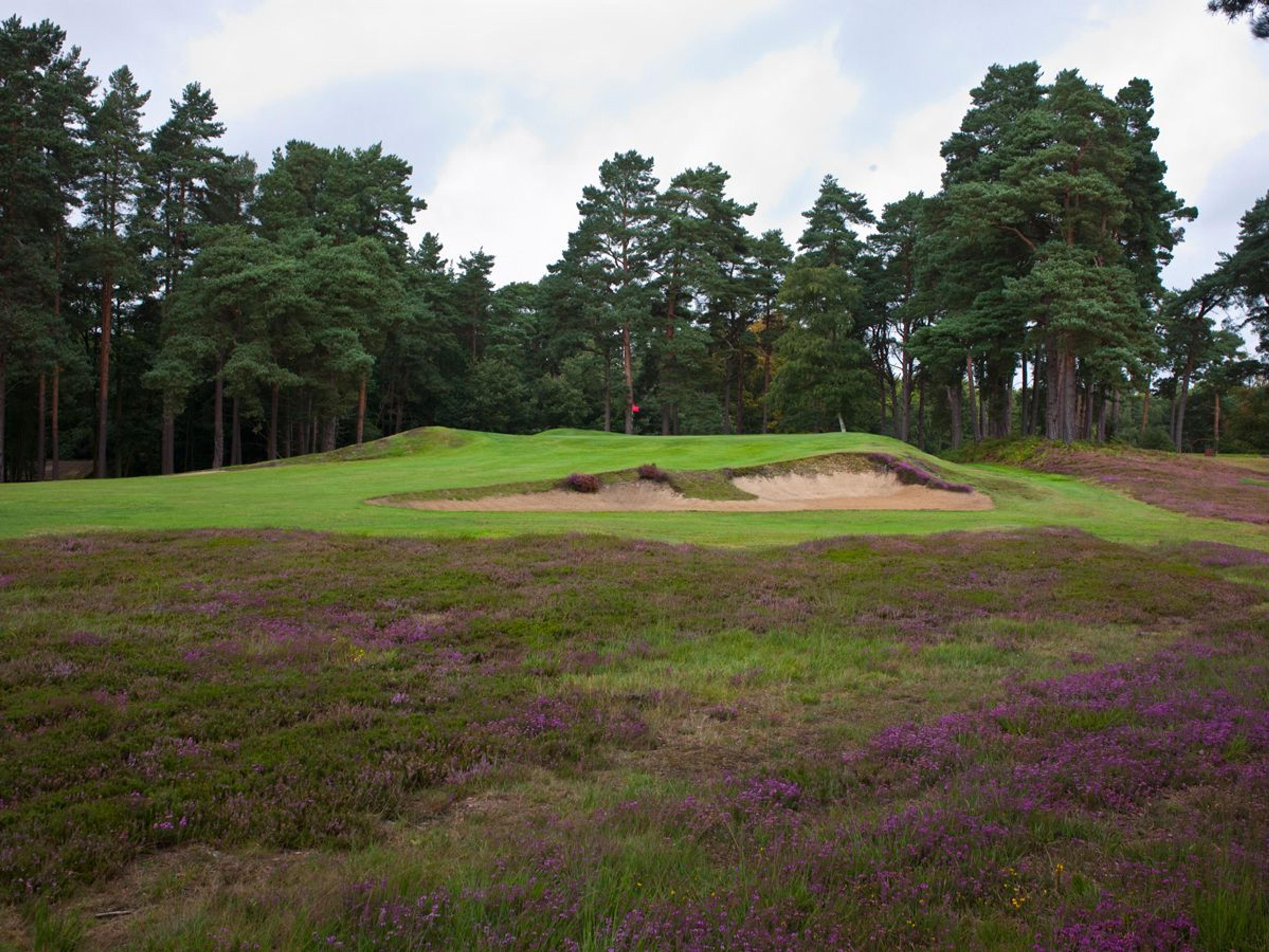 sachin and babi light blue dress Swinley Forest Golf Club Review by Tom Rogers main image 0