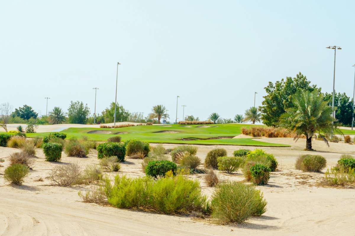 Al Dhannah Golf Club