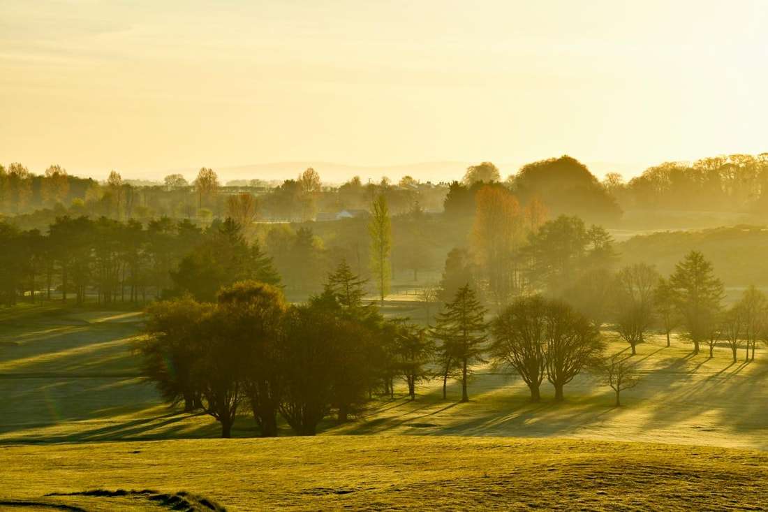 Royal Curragh Golf Club