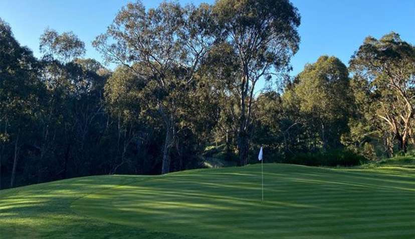 Yarra Bend