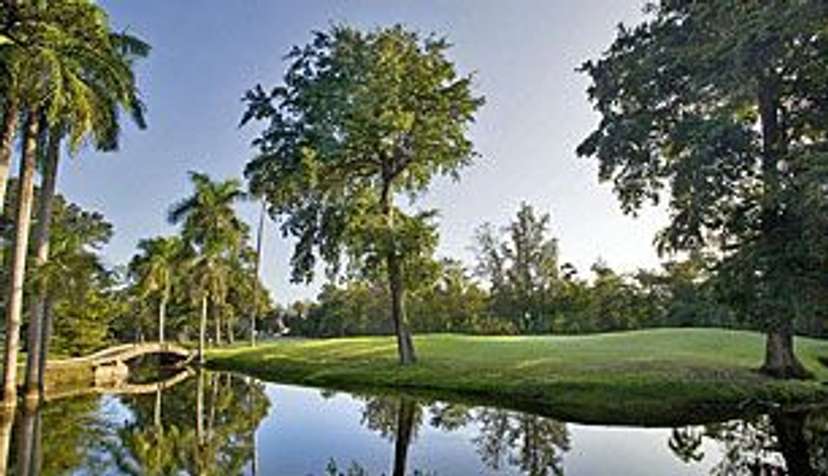 TPC Dorado Beach (Pineapple)