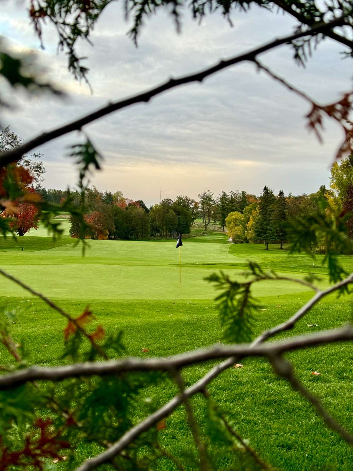 Kawartha G&CC Green