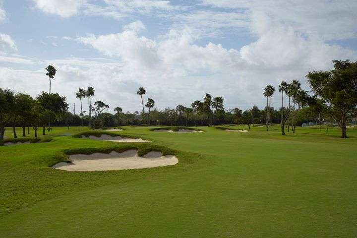 Pine Tree Golf Club