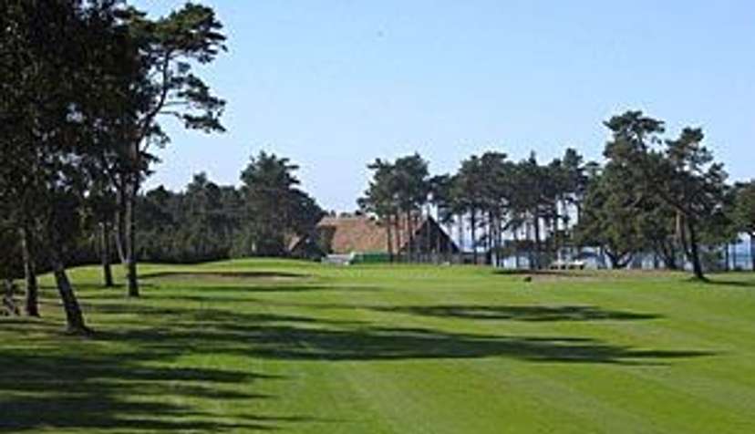Barsebäck (Pine)