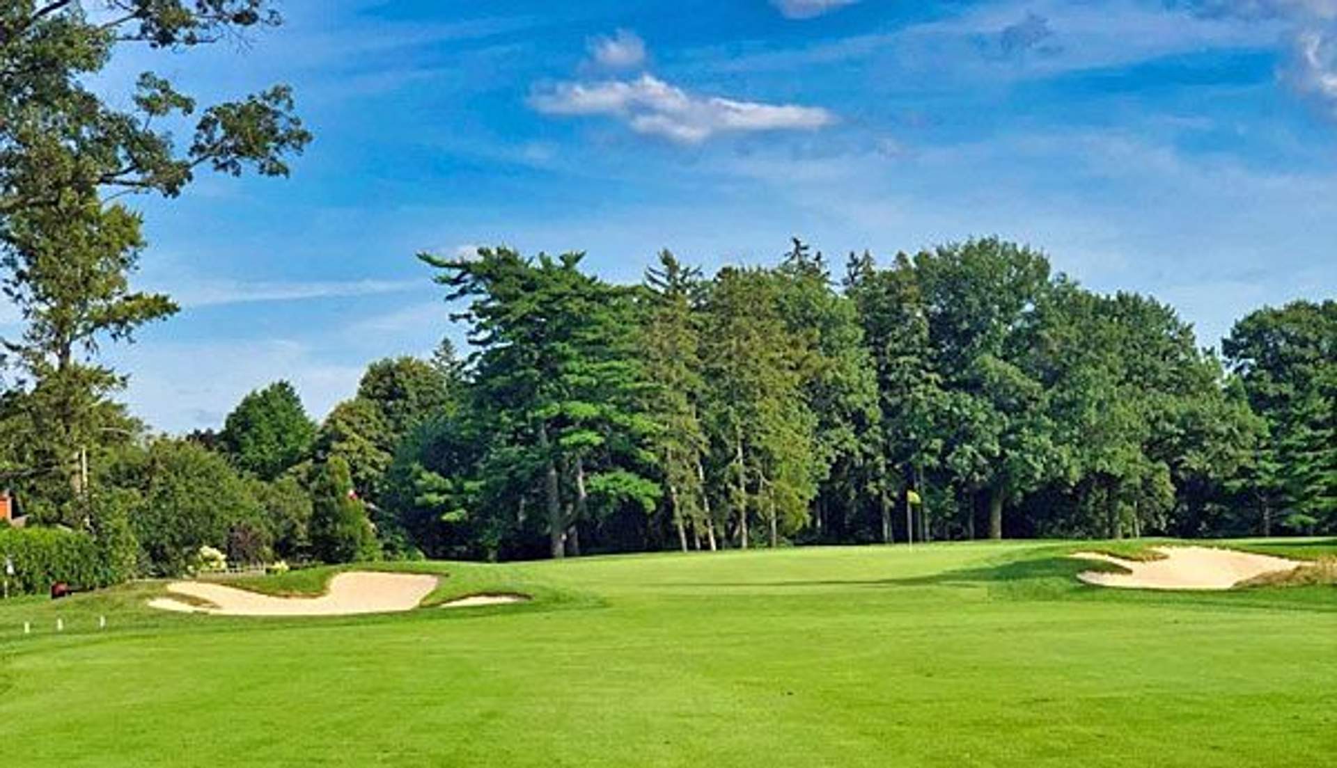 Panel background