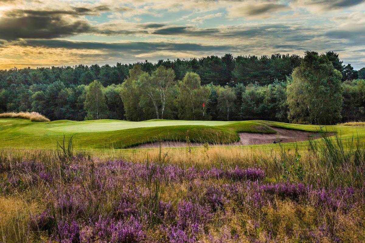 Sherwood Forest Golf Club golf course