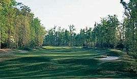 Golden Horseshoe (Green)