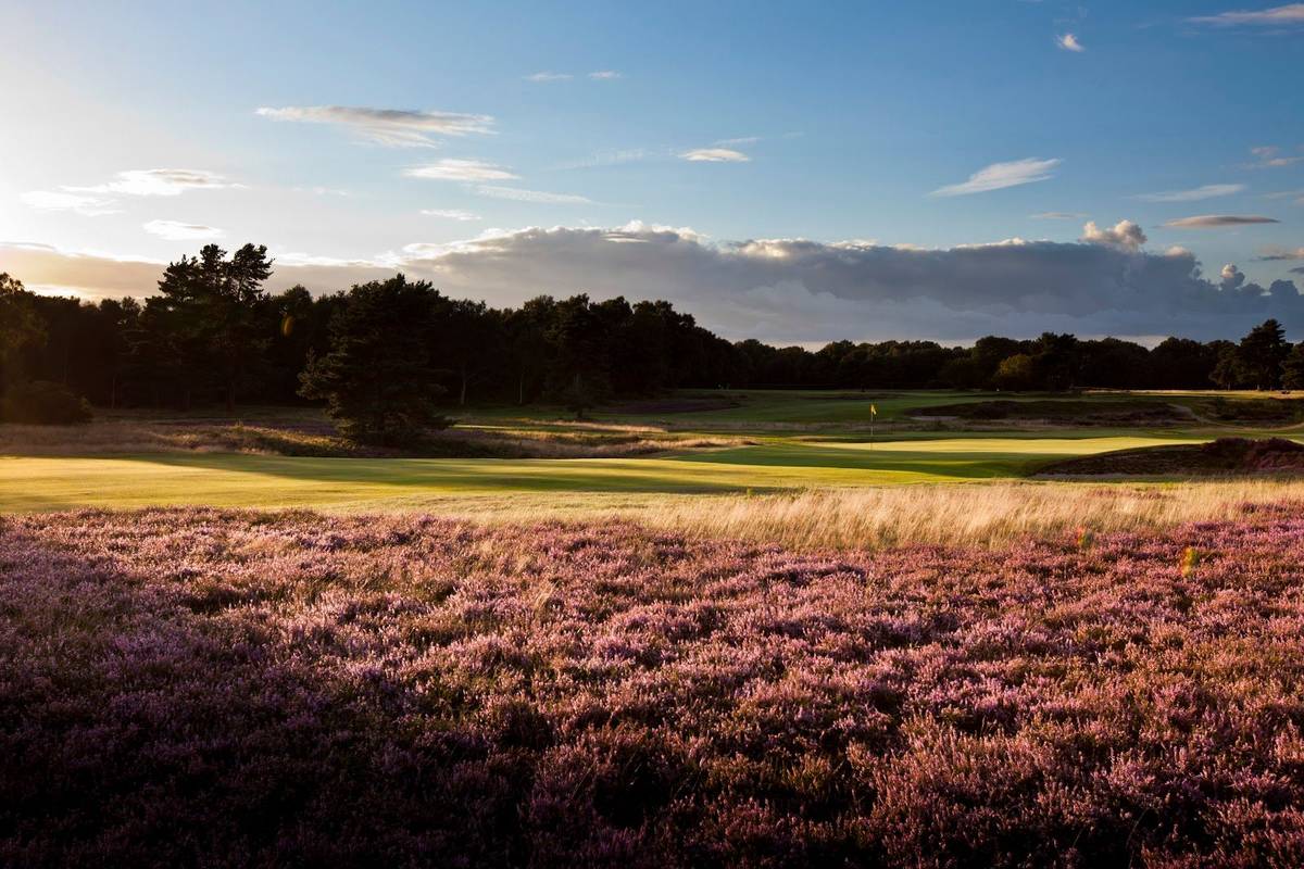 Walton Heath Golf Club (Old) golf course