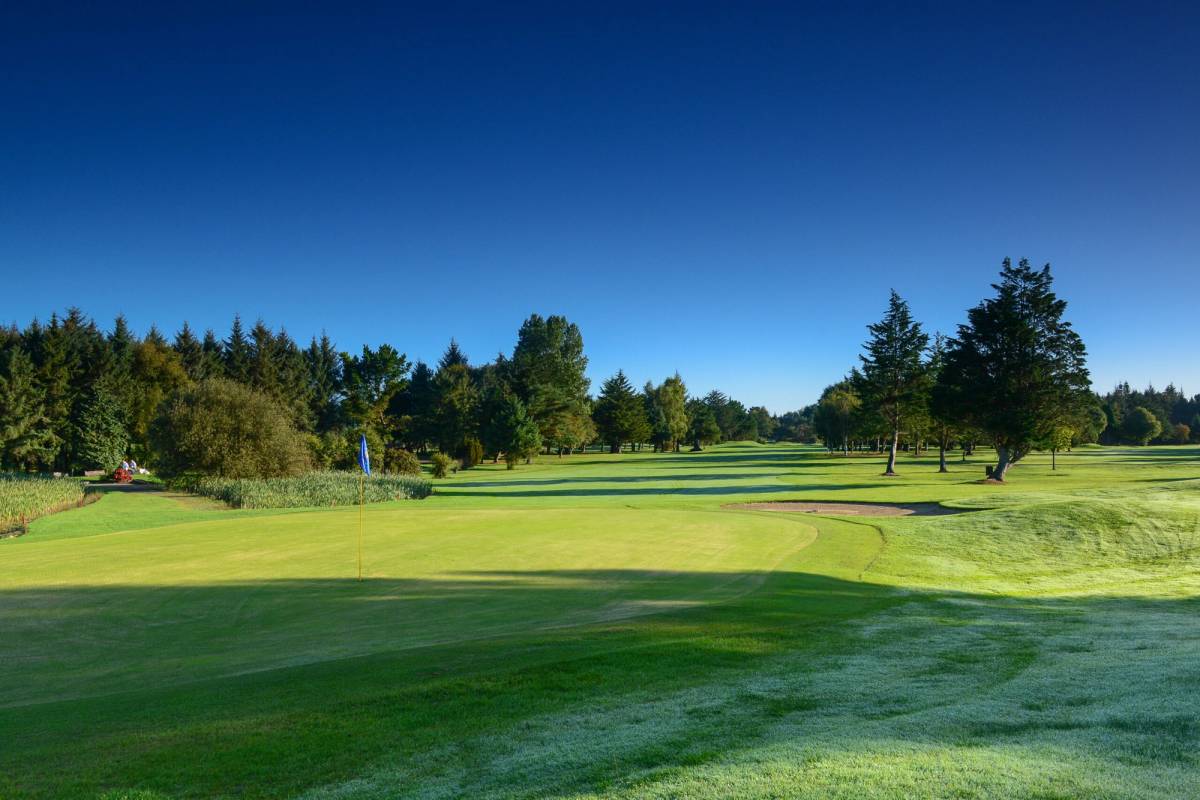Shannon Golf Club golf course