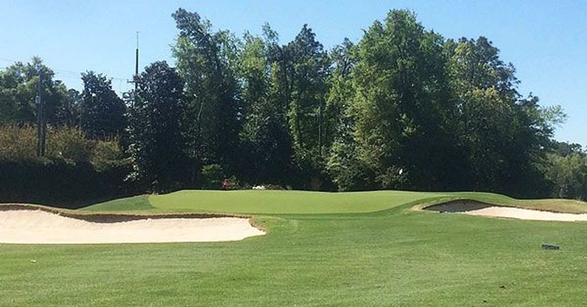 Palmetto Golf Club | United States | Top 100 Golf Courses