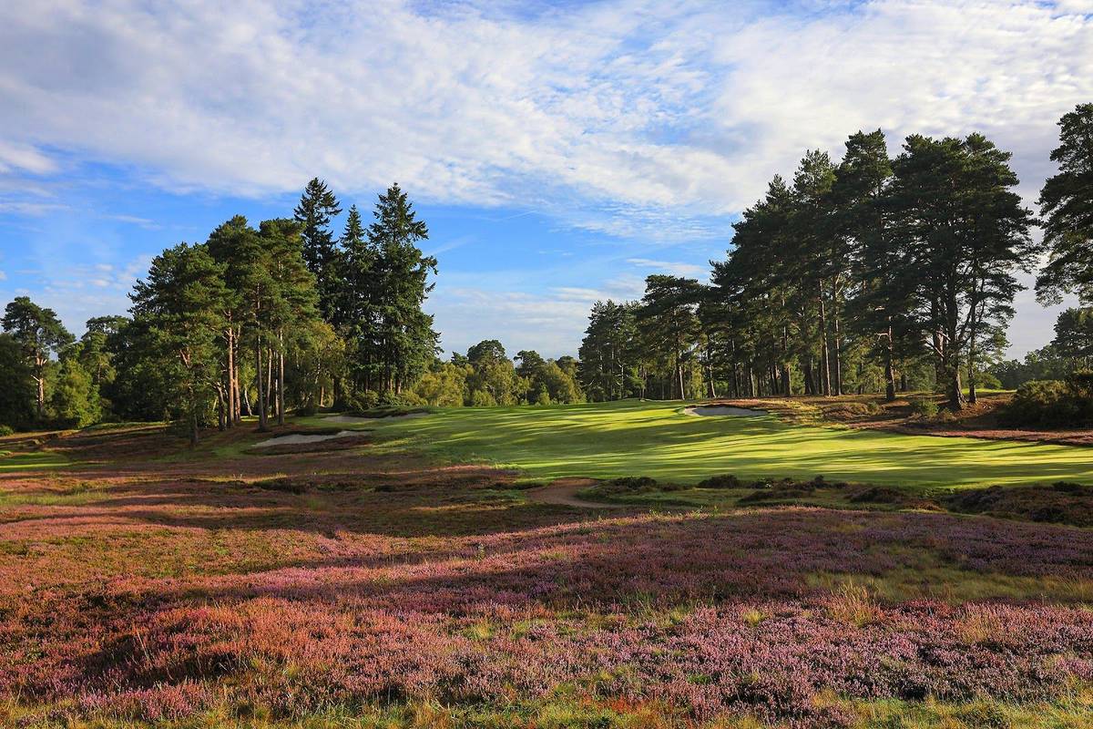 Liphook Golf Club golf course