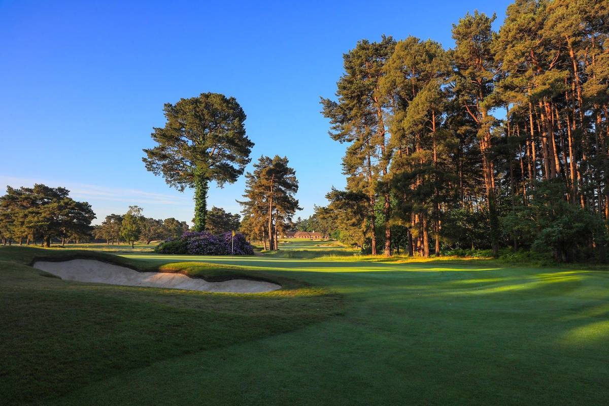 Ferndown Golf Club (Old) golf course